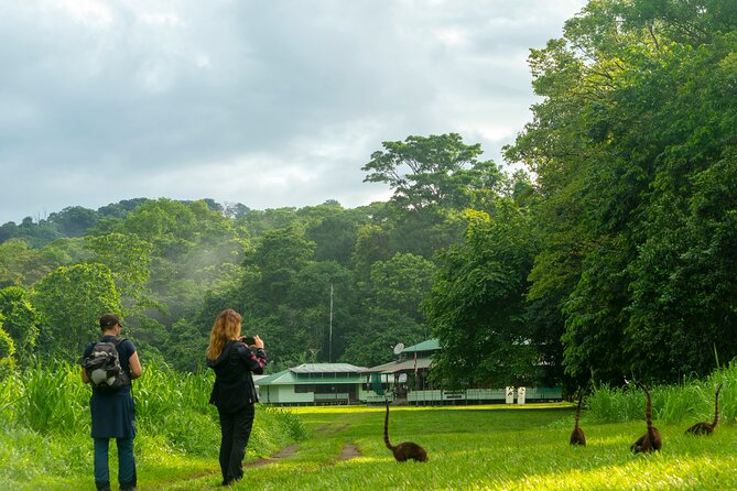 Corcovado and Drake Bay 2-Day Small-Group Safari Guided Tour - Sirena Ranger Station and the first jungle walk