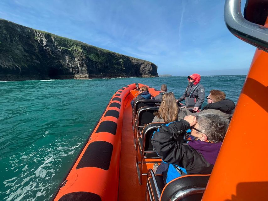 Cornwall: Guided Seal Safari by Boat - Searching the rocky Cornish coast for grey seals