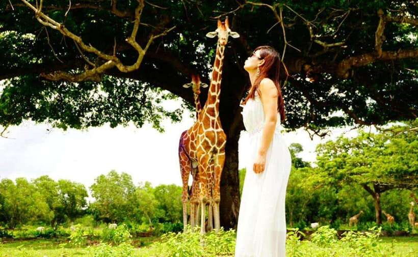 Coron: Calauit Safari Black Island Lunch & Transfer included - Why this unusual Coron day trip works