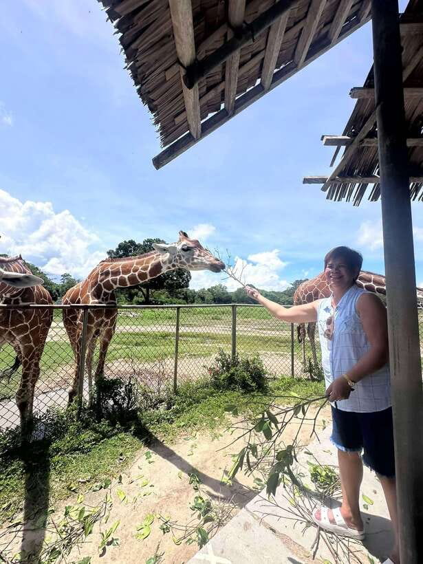 Coron: Calauit Safari Black Island Lunch & Transfer included - Who will enjoy this trip most