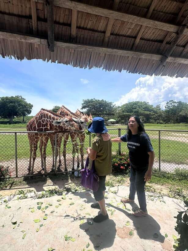 Coron: Calauit Safari Black Island Lunch & Transfer included - Should you book the Calauit and Black Island trip?