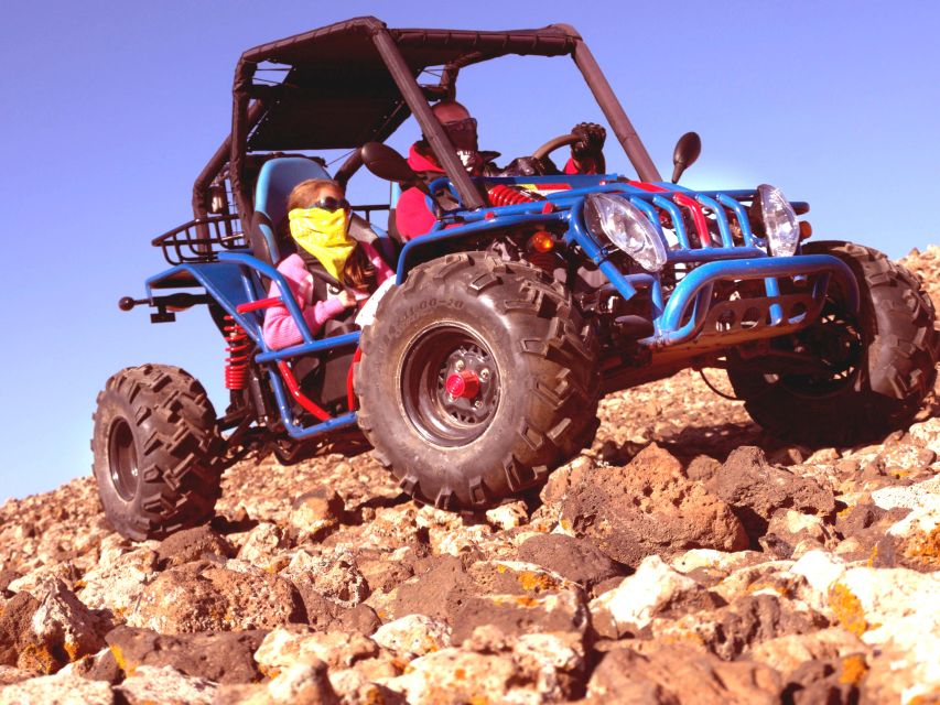 Corralejo: Buggy Safari Tour - Pickup, languages, and booking details