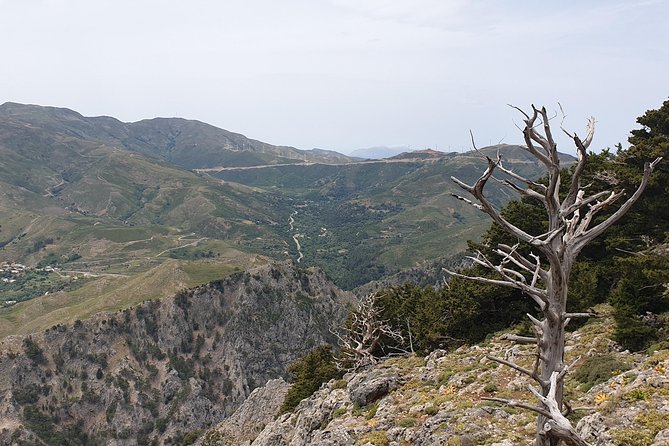 Cretan Safari – 4x4 Adventure to Preveli Beach with Lunch - Riding through Crete in a shared 4WD