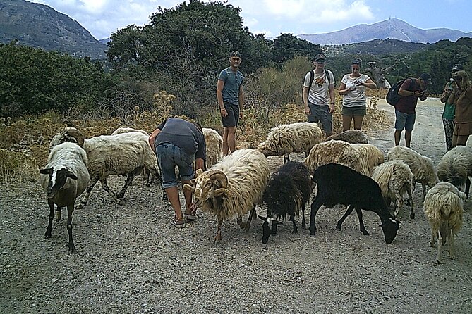 Crete 5-Hour Quad Safari Experience - Riding from Malia into rural Crete