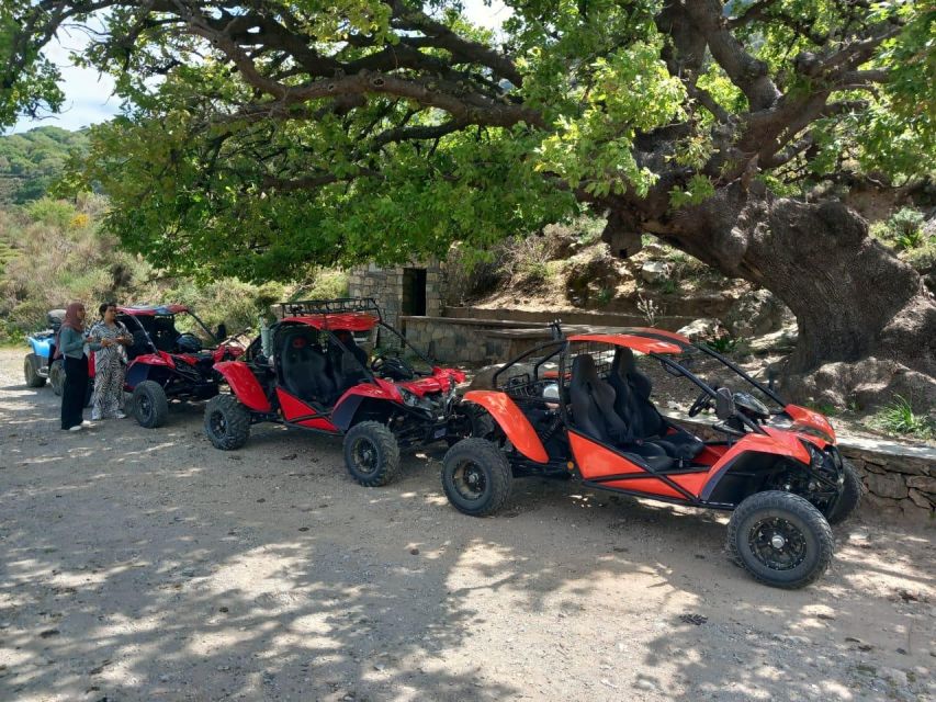 Crete buggy safari - Is $170 a fair price?