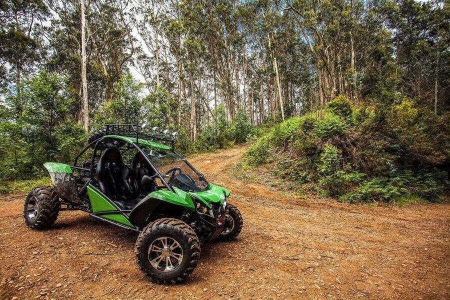 Crete buggy safari - Olive oil at Vassilakis Estate