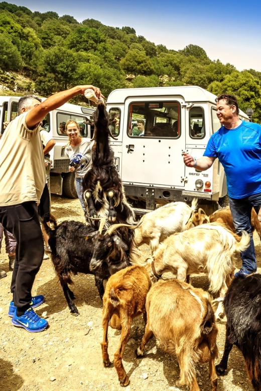 Crete: Land Rover Safari on Minoan Route - Raki, dirt tracks, and the old Minoan route