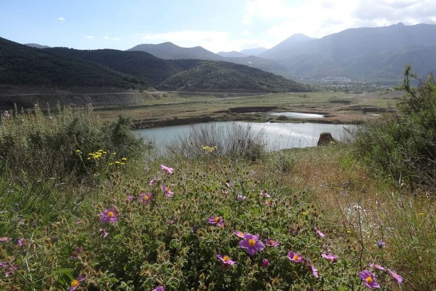 Crete: Land Rover Safari on Minoan Route - A traditional taverna lunch with unlimited wine