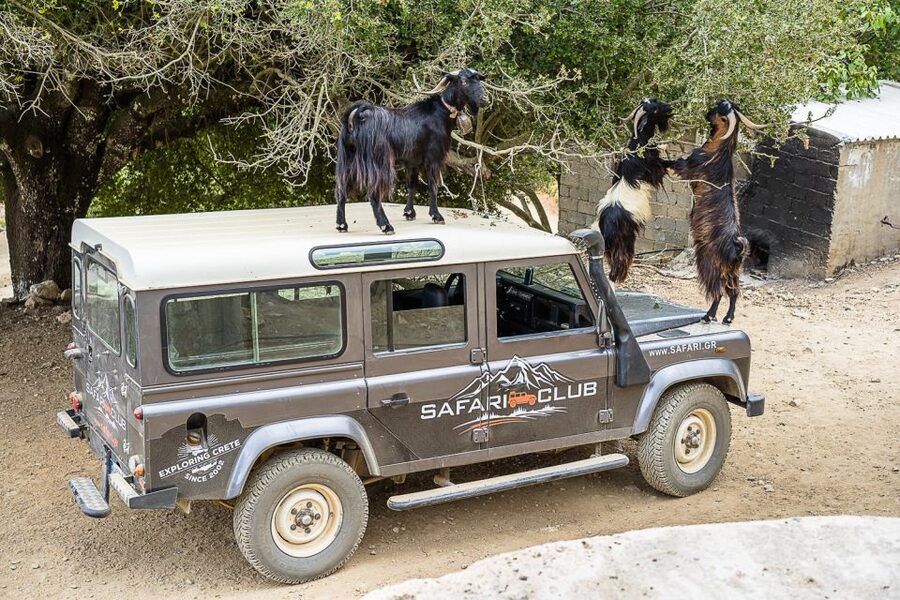 Crete: Land Rover Safari on Minoan Route - From the Aposelemis Basin to Roman engineering