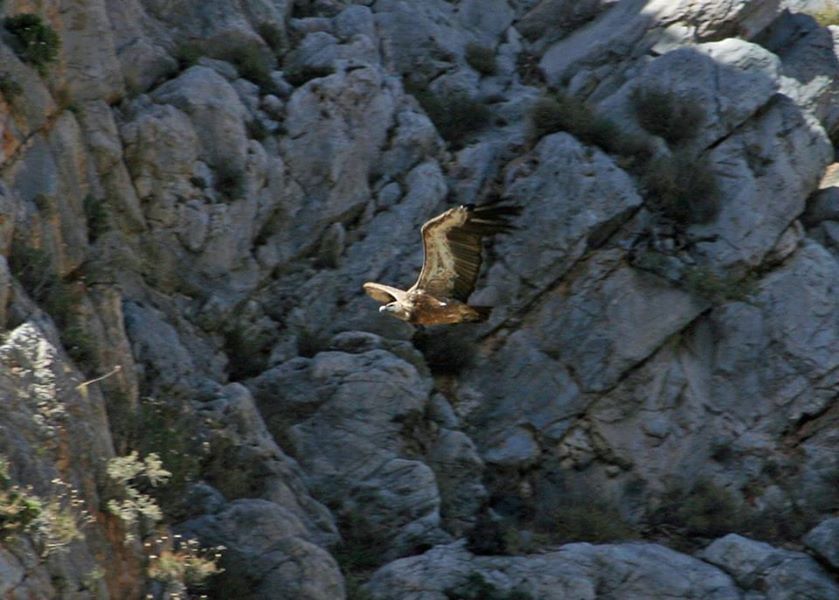 Crete: Land Rover Safari Through Katharo Plateau - Lassithi Plateau and Crete’s working countryside