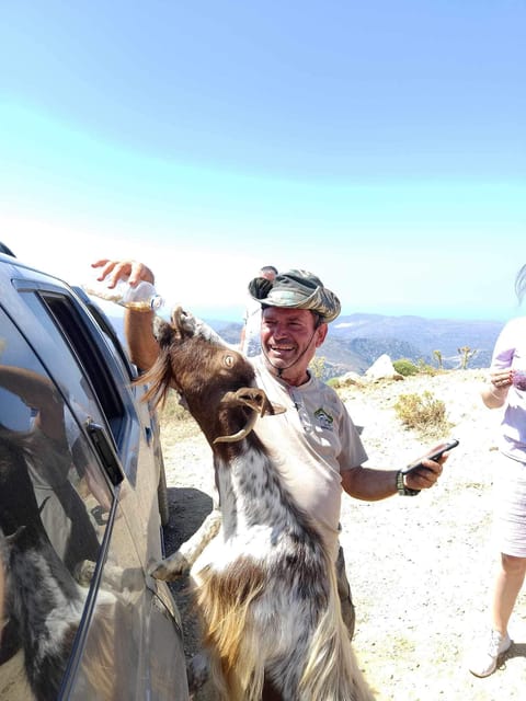 Crete: Lasithi Plateau Zeus Cave Guided Jeep Safari Tour - Cheese-making at a shepherd’s farm