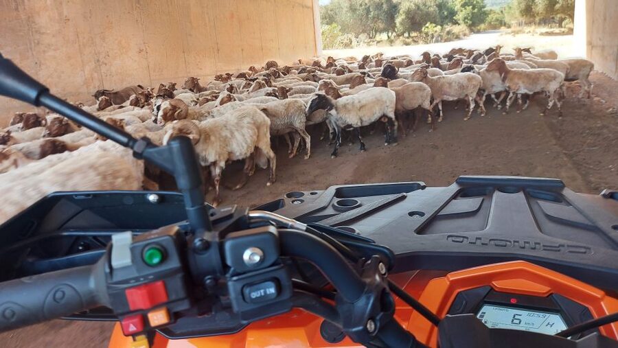 Crete: Off-Road Quad Safari with Lunch/Dinner - Hiking into historic Milatos Cave