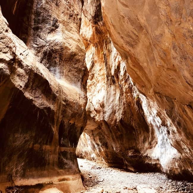 Crete: Sarakina Gorge, Forests, and South Coast Safari - Through the protected Kroustas mountain forest