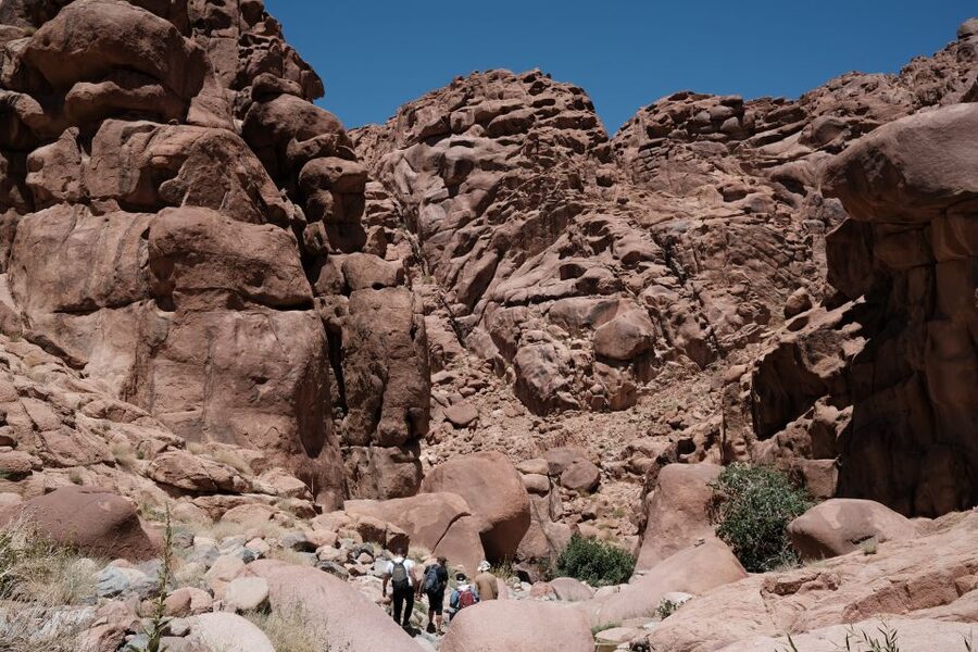 Dahab Safari from Sharm El-Sheikh: Canyon Salama & Blue Hole - A 20-minute camel ride along the coast