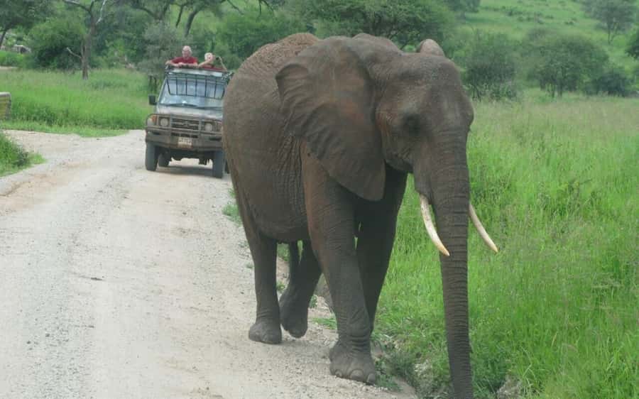 Dar Es Salaam: Overnight Safari at Mikumi National Park - The Dar es Salaam to Mikumi road journey
