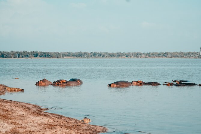 Day Safari Tour Selous Game Reserve - Following the Rufiji River and nearby lakes