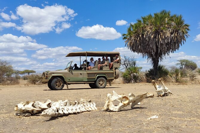 Day Safari Tour Selous Game Reserve - The afternoon search for elephants, predators, and wild dogs