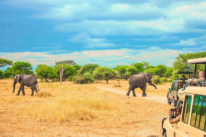 Day Safari tour to Selous Game Reserve from Zanzibar - Entering Selous and starting the game drive