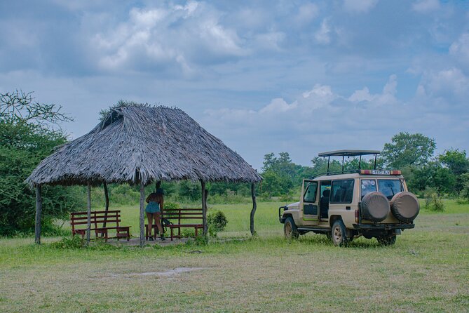 Day Safari tour to Selous Game Reserve from Zanzibar - Lunch, drinks, and the long middle of the day