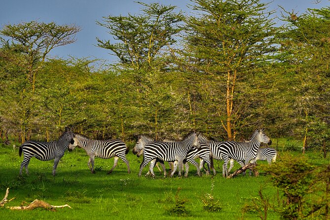 Day Safari tour to Selous Game Reserve from Zanzibar - Is $550 a fair price?