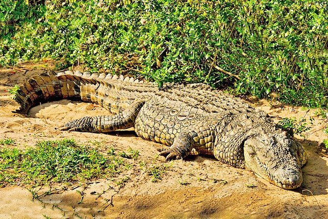 Day Trip Safari - Akagera National Park with Optional Lake Ihema Boat Safari - Entering Akagera’s wetlands and savannah
