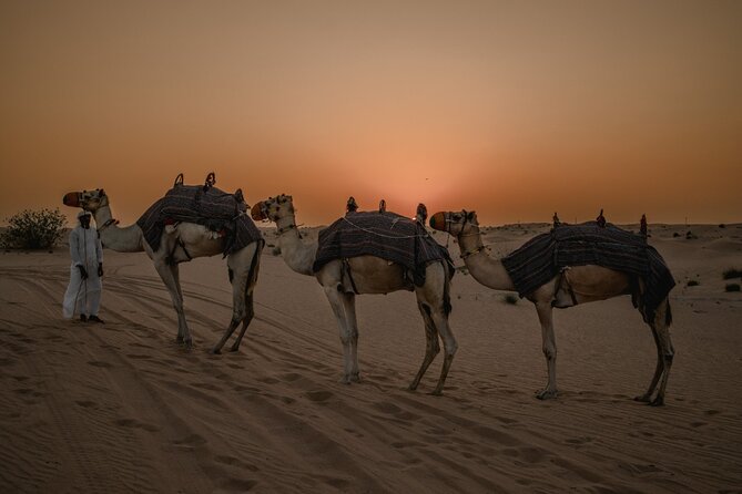Deluxe Sunset Desert Safari: SandSurfing, Camel Ride & BBQ dinner - From Dubai streets to the Red Dunes
