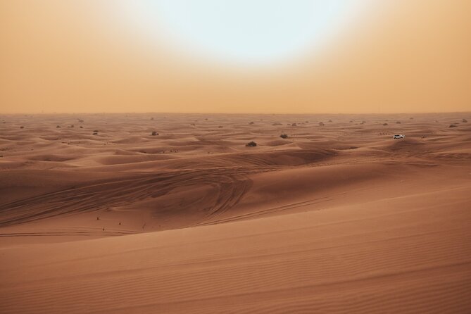 Deluxe Sunset Desert Safari: SandSurfing, Camel Ride & BBQ dinner - Thirty minutes of dune bashing in a 4x4