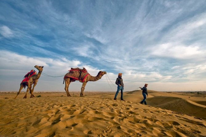 Desert Camel Safari Day Tour In Jodhpur - Key points to know before booking