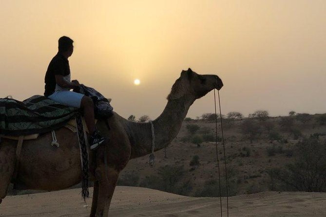 Desert Camel Safari Day Tour In Jodhpur - Sachiya Mata Temple and an hour to look around