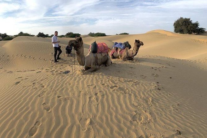 Desert Camel Safari & Jeep Safari Tour From Jodhpur - Returning to Jodhpur after dark