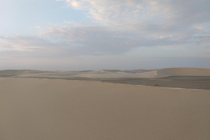 Desert Combo safari, Camel ride, Quad Bike and Dune Bashing(ALL INCLUSIVE) - Sealine Beach and the change from city to sand