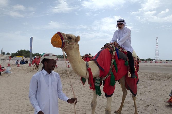 Desert Combo safari, Camel ride, Quad Bike and Dune Bashing(ALL INCLUSIVE) - The camel ride is short, traditional, and photo-friendly