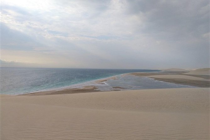 Desert Combo safari, Camel ride, Quad Bike and Dune Bashing(ALL INCLUSIVE) - Dune bashing is the high point, but not for everyone