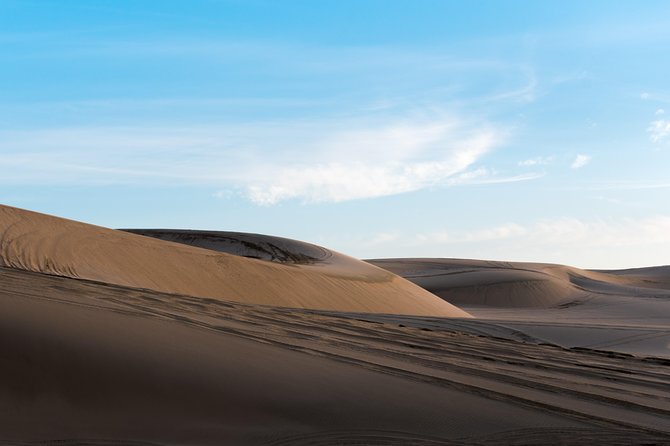 Desert Combo safari, Camel ride, Quad Bike and Dune Bashing(ALL INCLUSIVE) - Reaching the Inland Sea adds real variety
