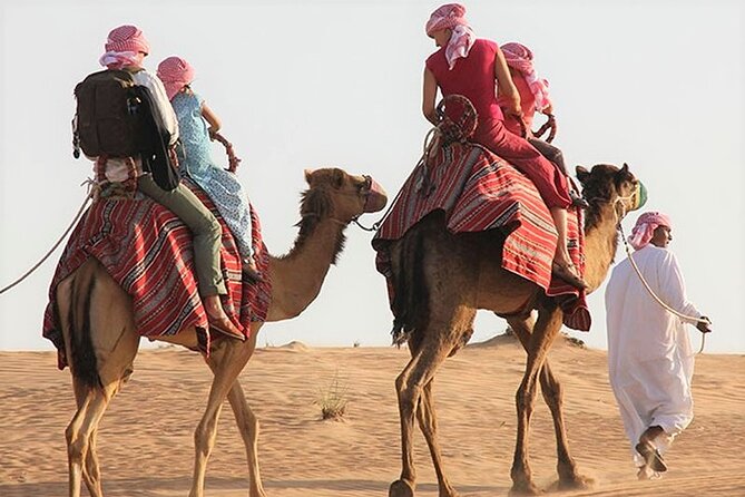 Desert Combo safari, Camel ride, Quad Bike and Dune Bashing(ALL INCLUSIVE) - Pickup from Doha, Mesaieed, or Hamad Airport