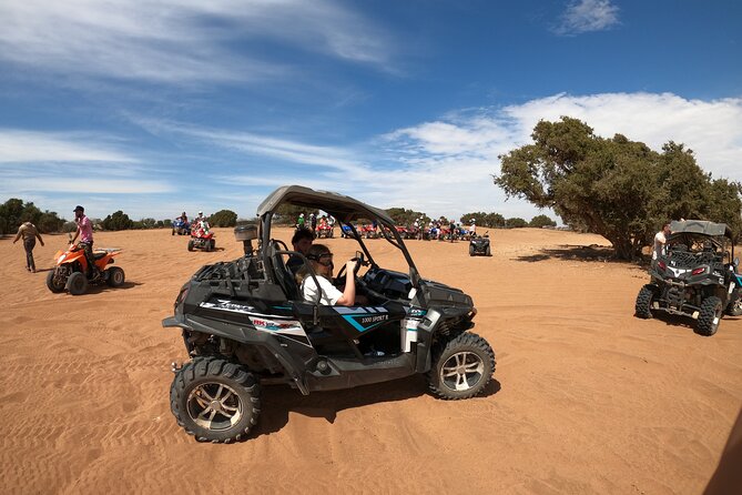Desert Dunes Buggy Safari in Agadir with Hotel Pickup - Who will enjoy the ride most