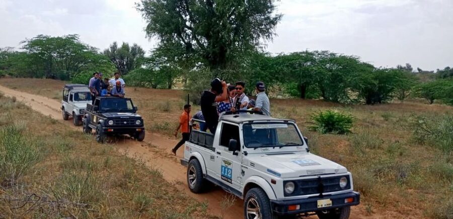 Desert Jeep Safari & Camel Safari Tour From Jodhpur - Sachiya Mata Temple, a short cultural stop