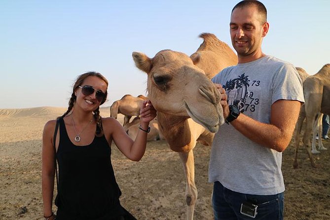 Desert Safari Abu Dhabi - Group Size, Private Cars, and Timing