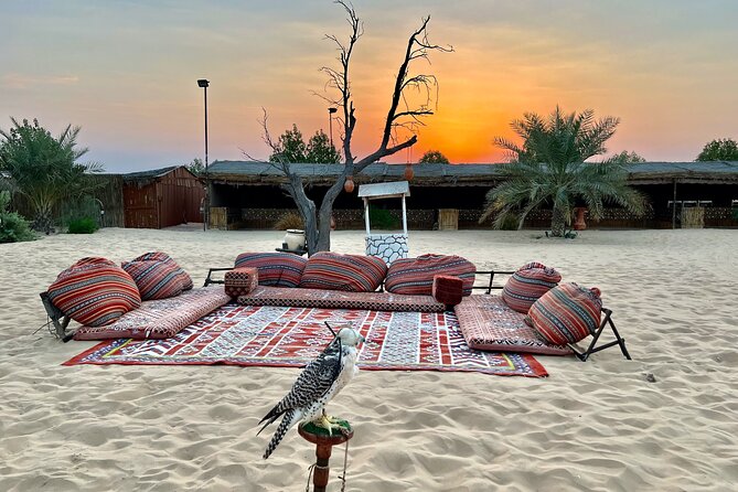 Desert Safari Abu Dhabi w/ Sand Boarding, Camel Ride & BBQ Dinner - Is $75.36 good value?