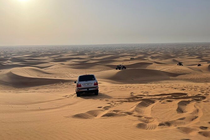 Desert safari adventure with BBQ dinner - BBQ buffet dinner and soft drinks