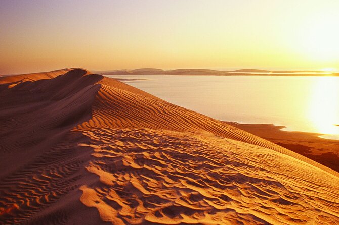 Desert Safari and Inland Sea(Private Tour) - Mesaieed Beach: camels, falcons, and Arabic tea