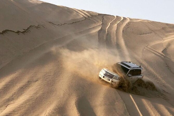 Desert Safari and Inland Sea(Private Tour) - Who will enjoy this four-hour outing