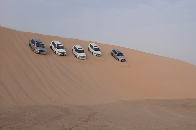 Desert Safari and Inland Sea(Private Tour) - Practical advice before you book
