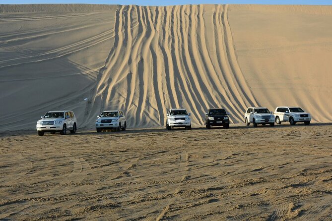 Desert Safari, Camel ride and Inland Sea Tour - Is $84 a fair price?