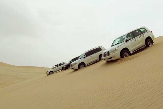 Desert Safari, Camel ride and Inland Sea Tour - The calm hour at Khor Al Adaid