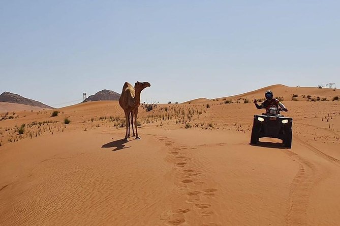 Desert Safari Dubai (PREMIUM VIP) - What the $90 price really covers
