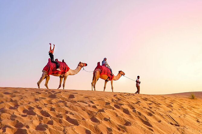Desert Safari Dubai Sand Bashing, Camel Ride, Shows, Live BBQ - Who should book this evening safari