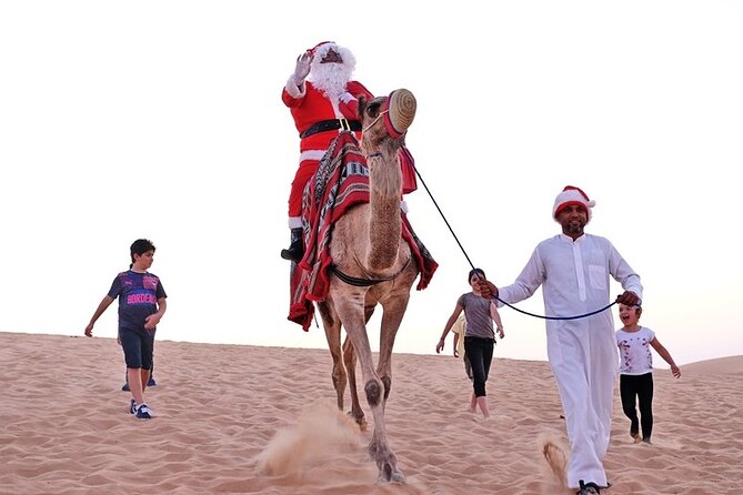 Desert Safari Dubai Sand Bashing, Camel Ride, Shows, Live BBQ - Practical advice for a smoother evening