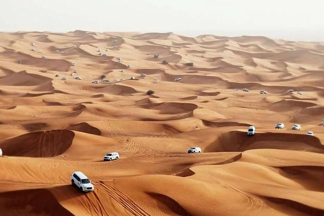 Desert Safari Dubai - Forty-five minutes across the red dunes