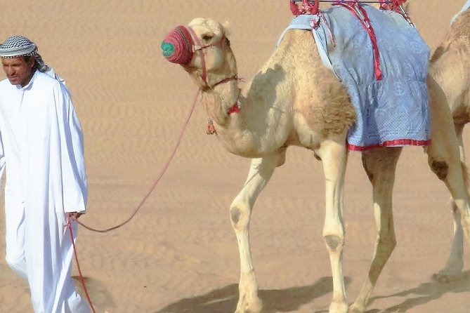 Desert safari, Dune bashing, sandboarding, camel, ATV Option - Leaving Doha for the open sand